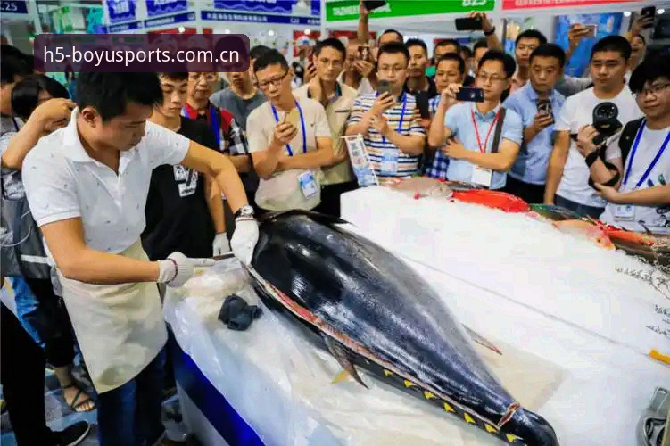 博鱼体育赛事动态 博鱼综合安装完整指南——从下载到流畅观赛的技术评测